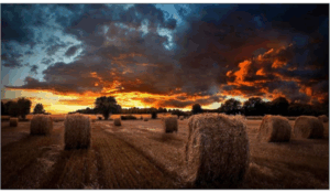 VIDEOWALL 46″ FHD 500CD 24/7 3.5MM SAMSUNG