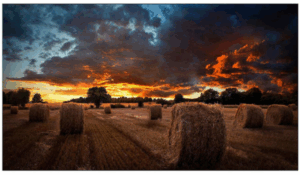 VIDEOWALL 55″ FHD 500CD 24/7 3.5MM SAMSUNG